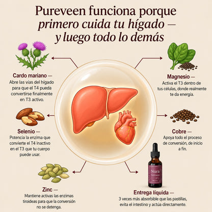 Nura® | Gotas para el equilibrio tiroideo