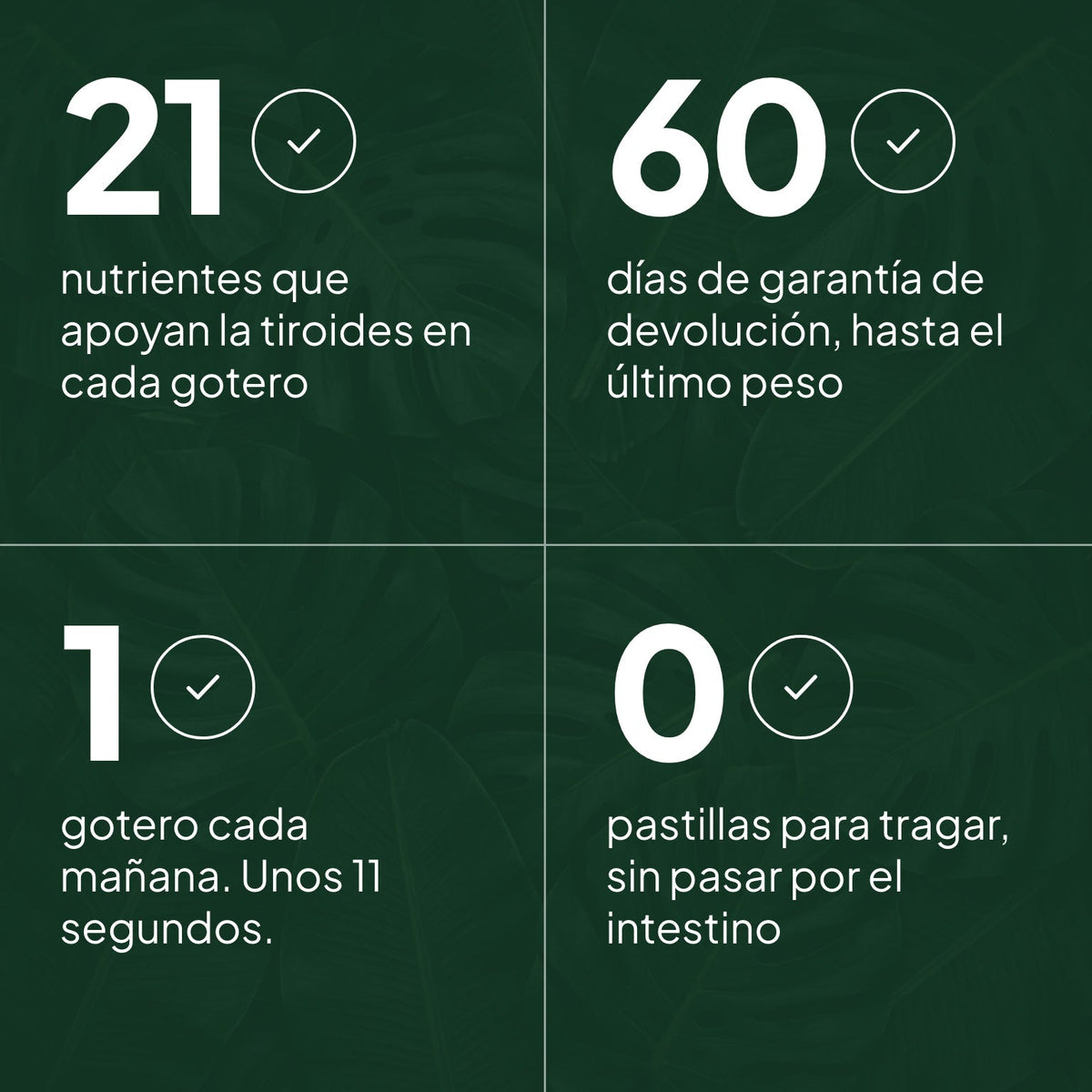 Thyro Bloom en números